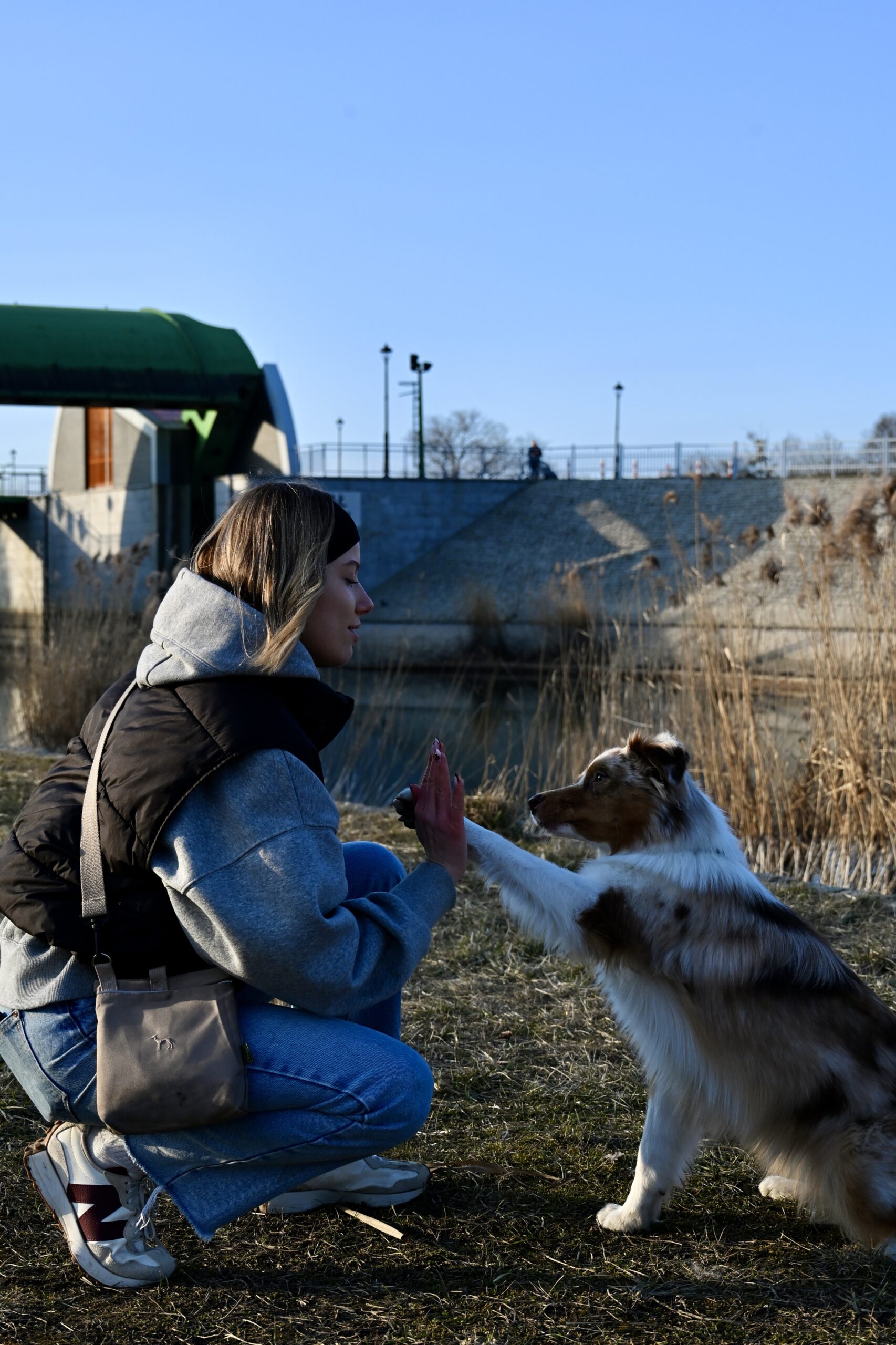 Trening psa – Psi Wywczas