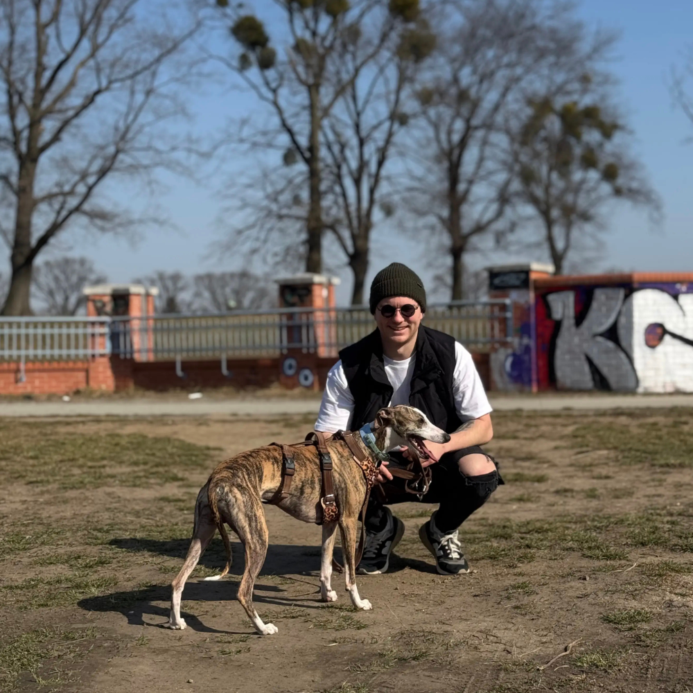 Psi Hotel Psi Wywczas Wrocław