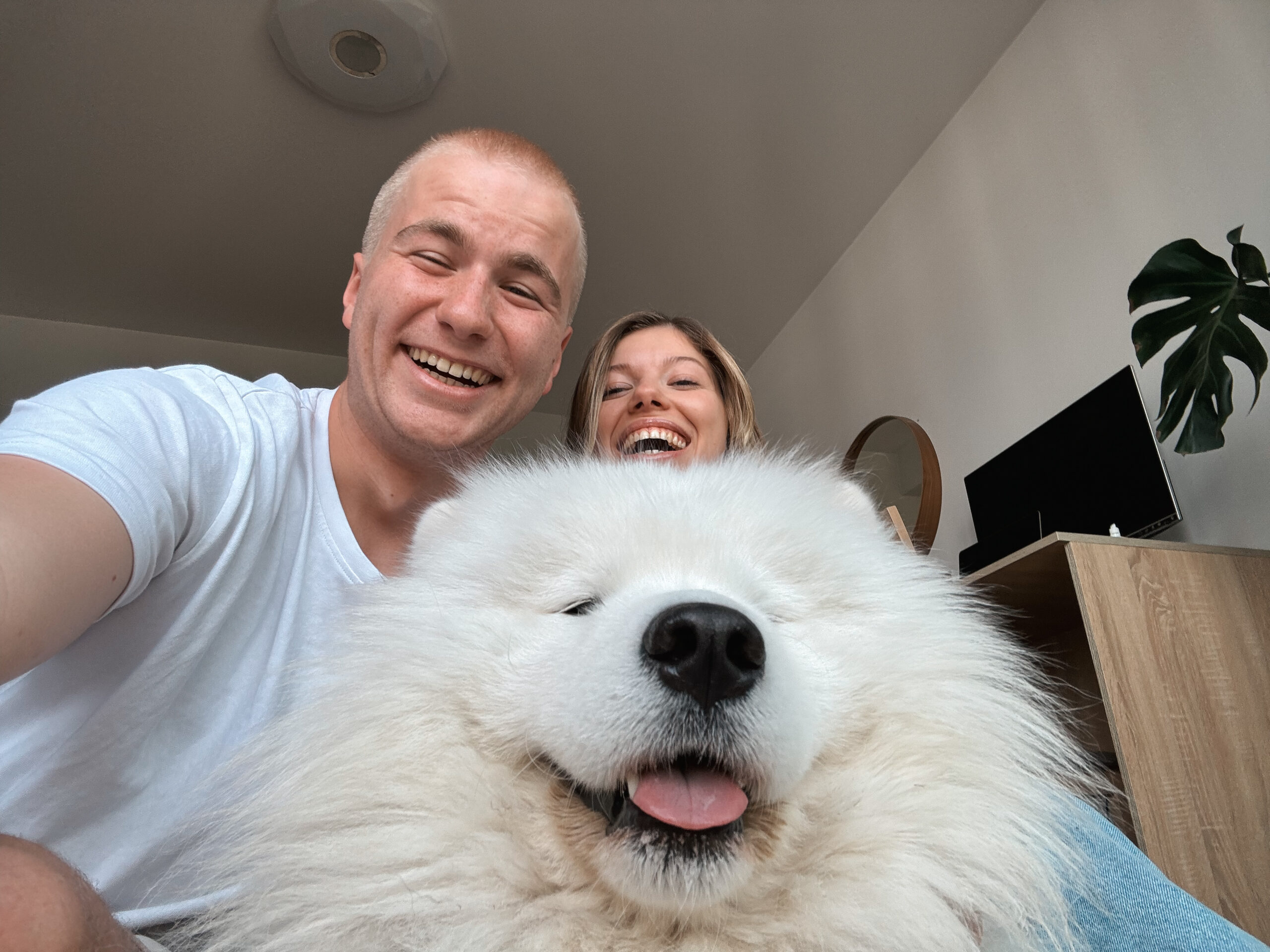 O nas – Psi Wywczas