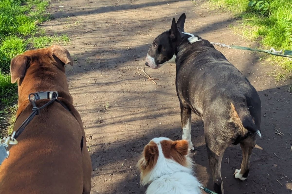 Budowanie pewności siebie