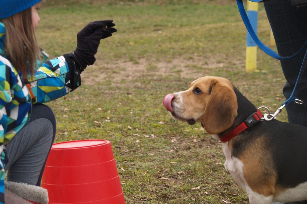 Bezpiecza przestrzeń 