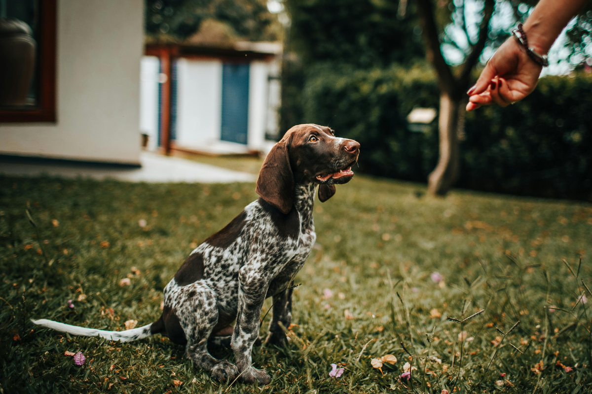 Bezpieczna przestrzeń do nauki