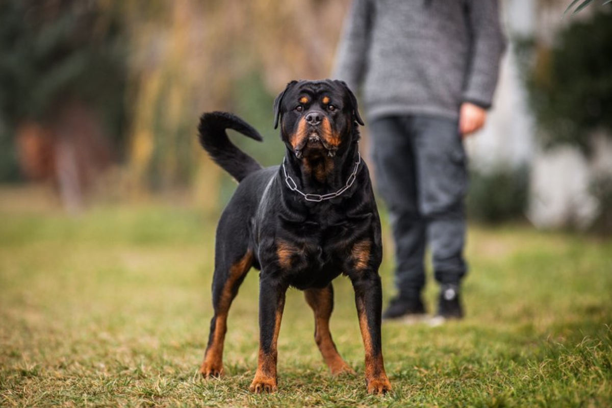 Praca w realnych warunkach